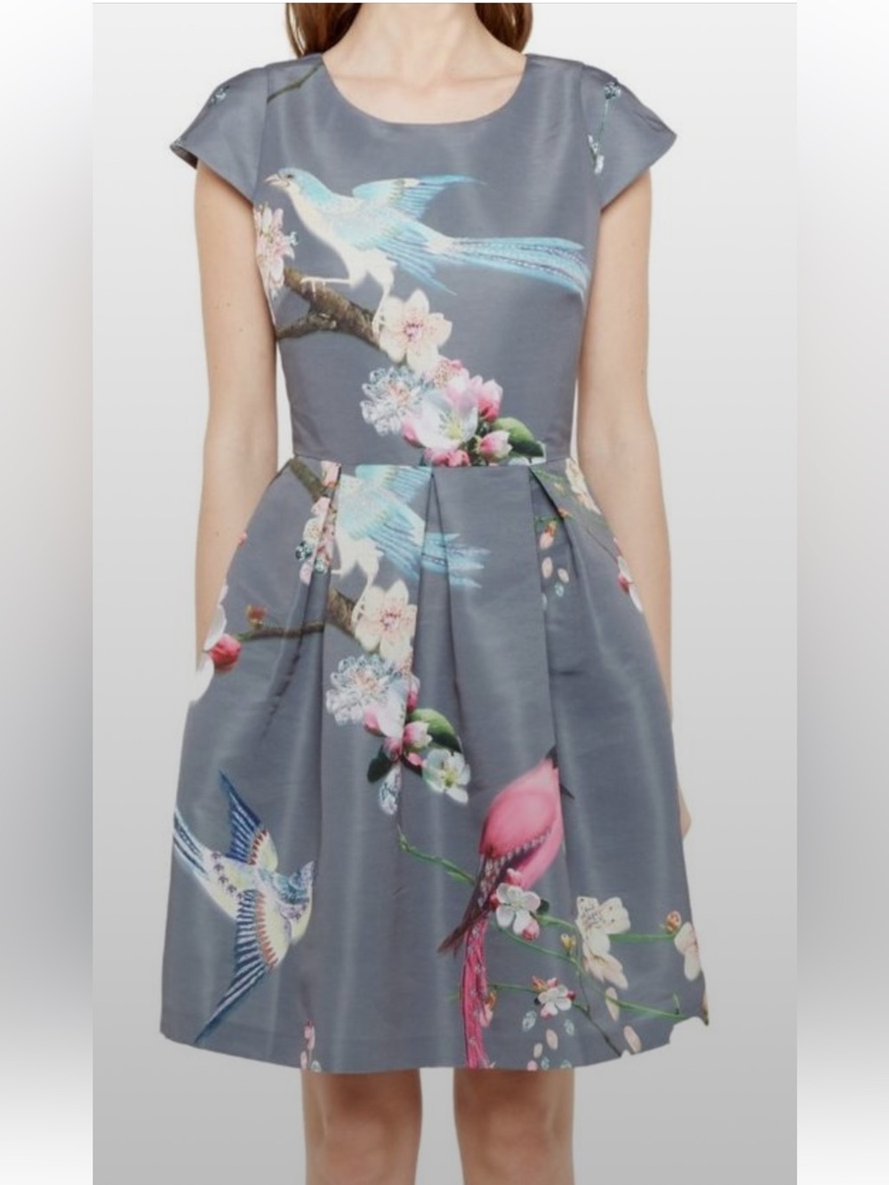 Ted Baker Zaldana Charcoal Dress with Blue & Pink Bird Print Size 0 Like New